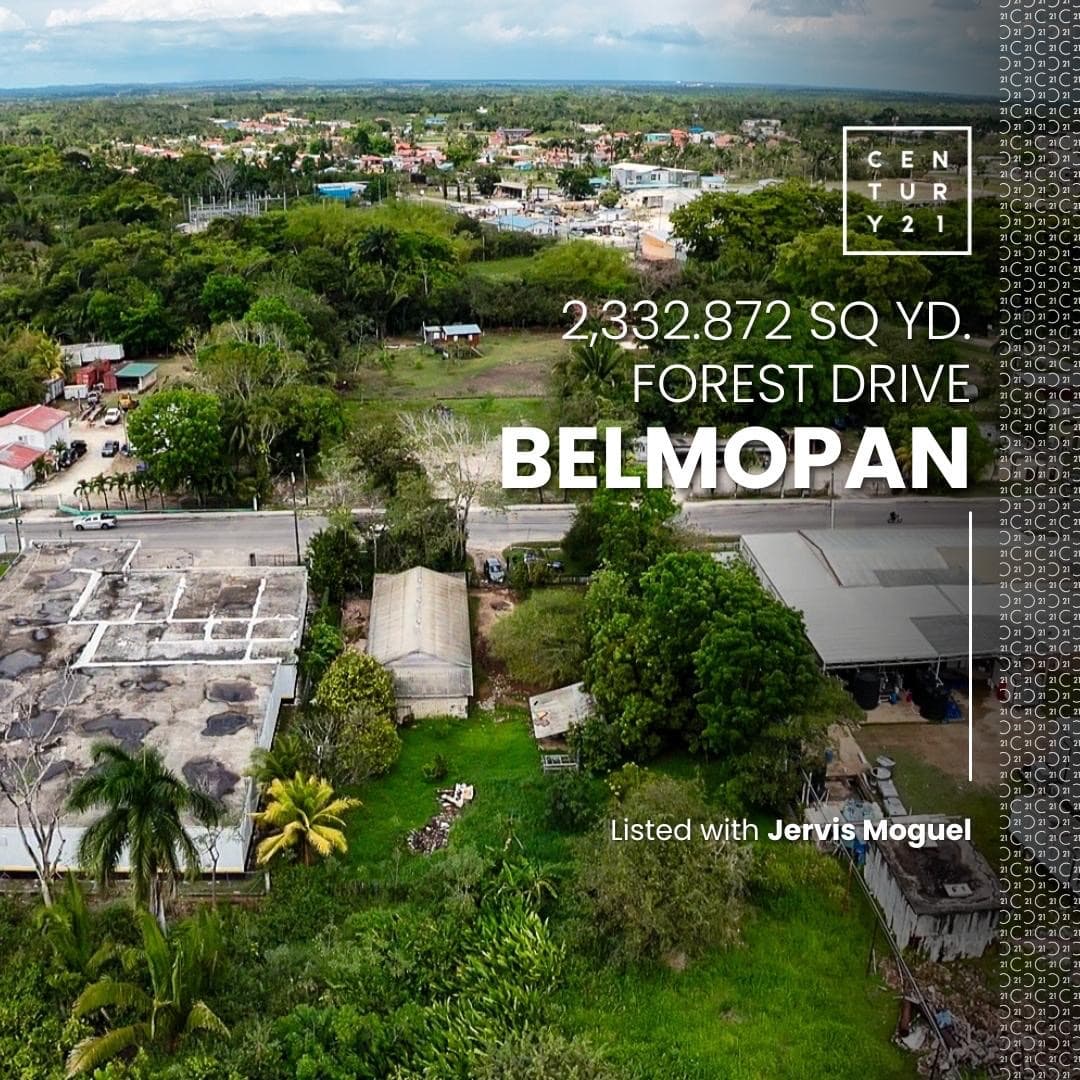 Prime Commercial Property for Sale in Belmopan City cover