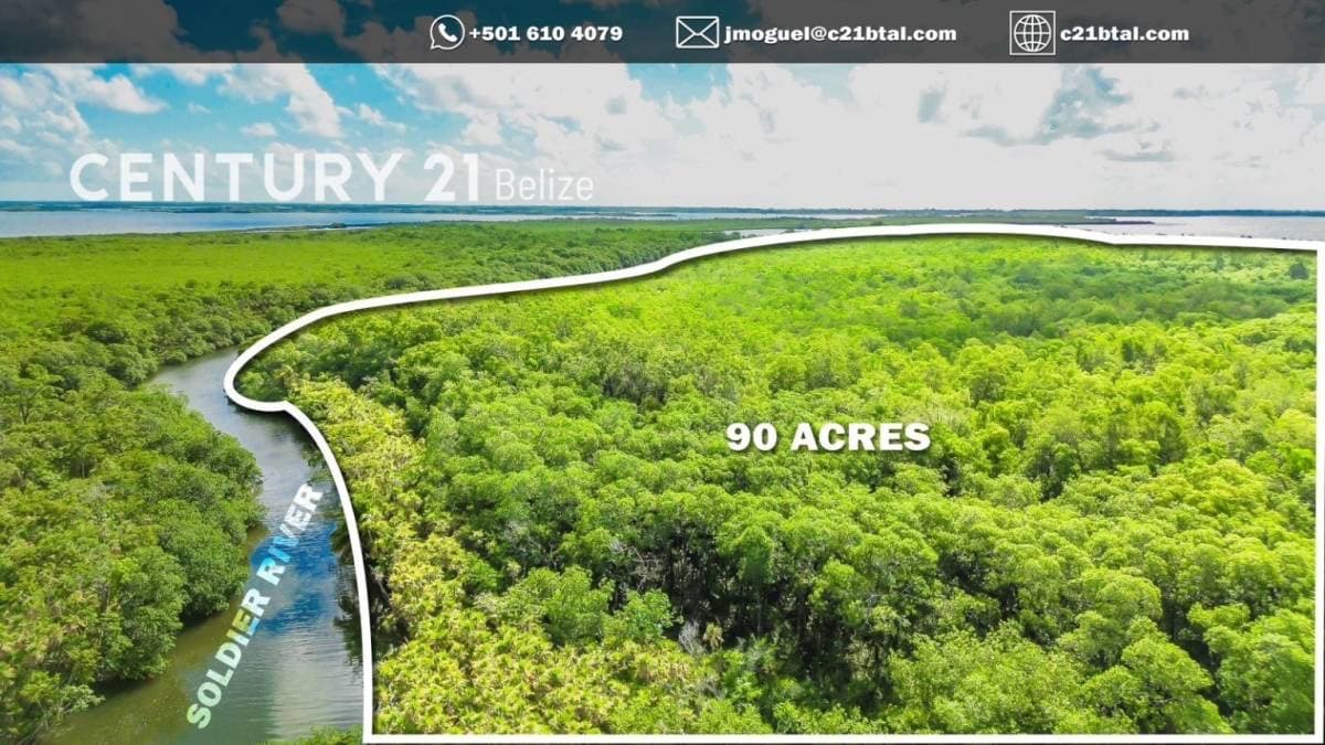 90 Acres Along Manatee River and Western Lagoon, Stann Creek District cover