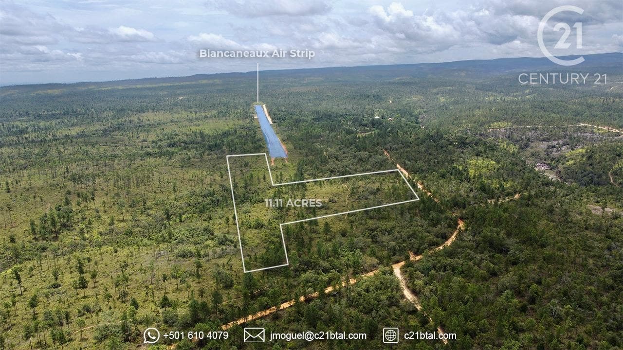 11.11 Acres Pine Ridge near Blancaneaux Airstrip cover