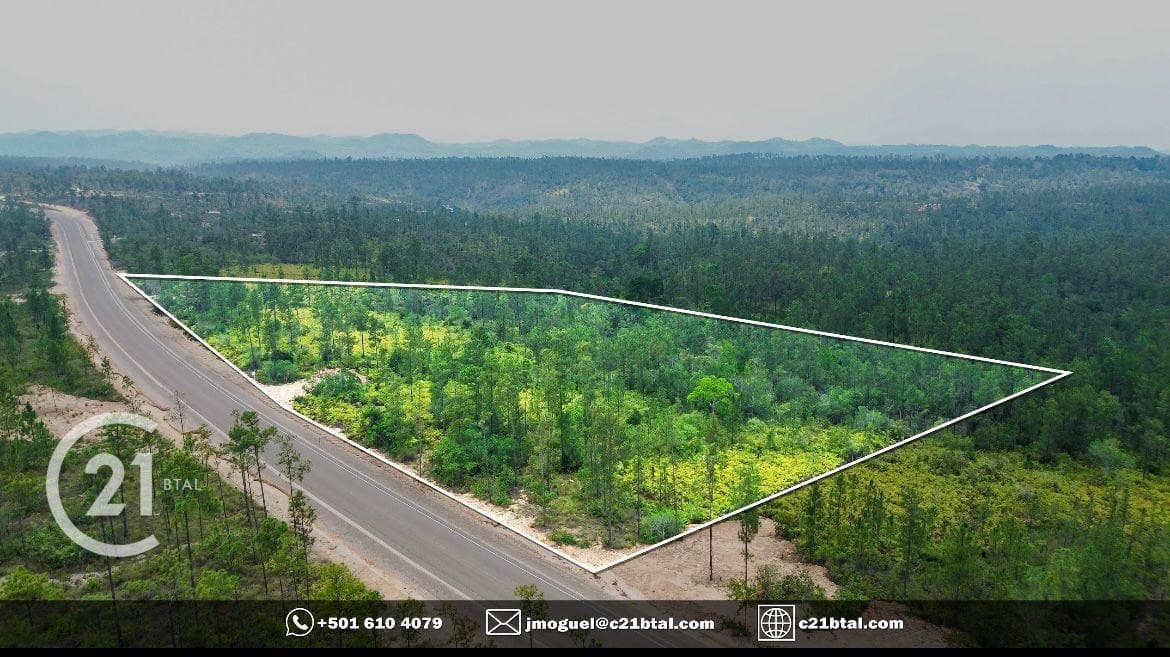 9.78 Acres Pine Ridge, Cayo District Belize cover